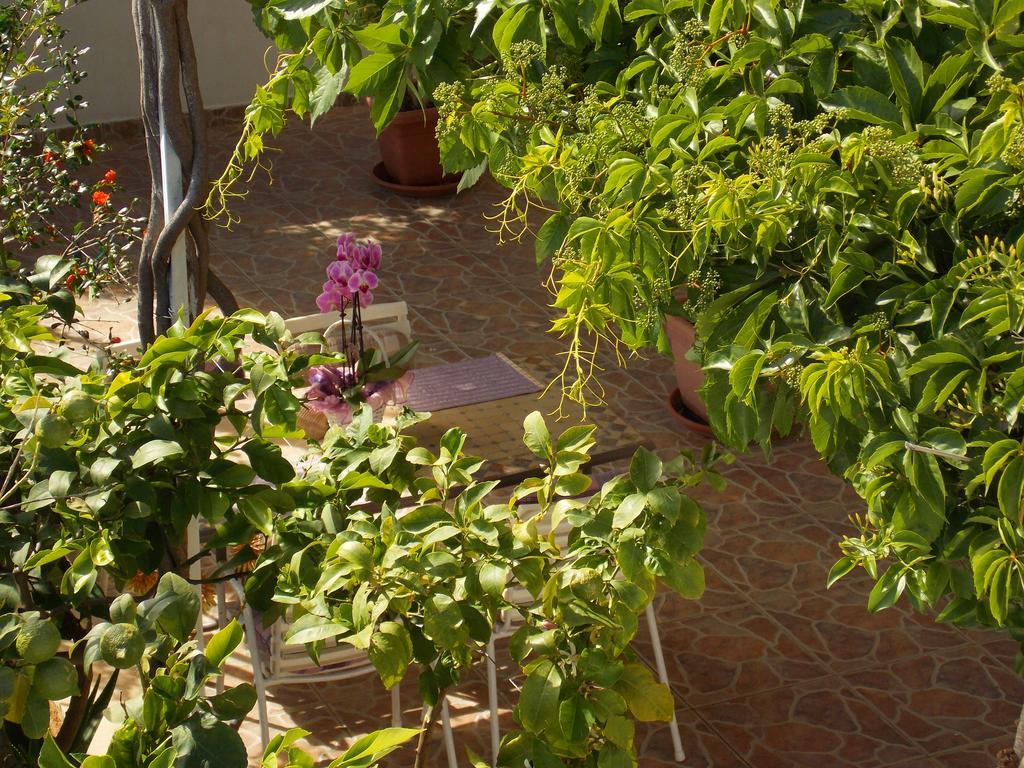 Apartmani Niki Hvar Хвар Экстерьер фото